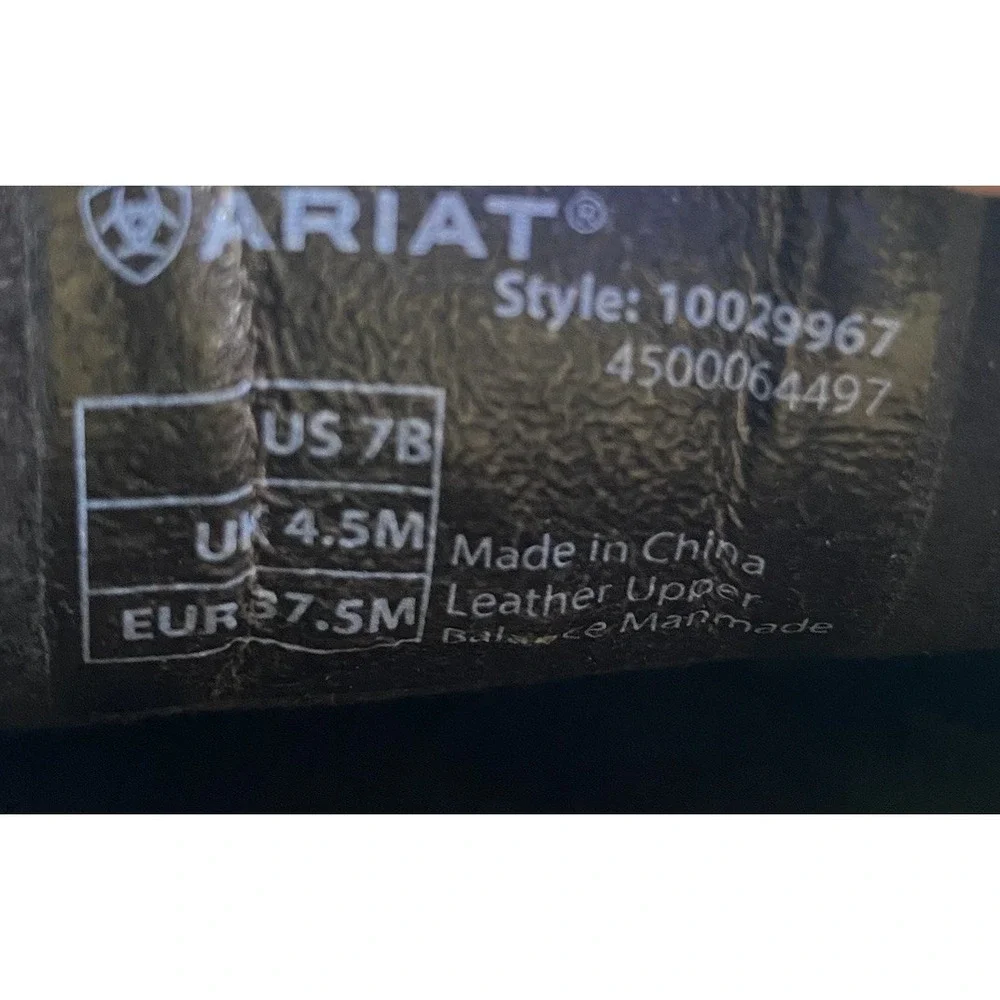 Ariat men cruiser